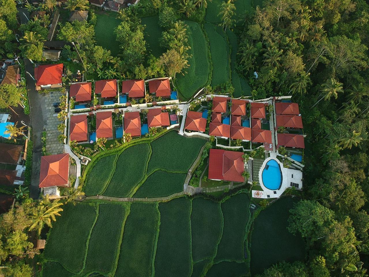 Vrindavan Ubud Villa Tegallalang  Esterno foto